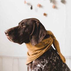 Copertina in mussola di cotone - Stampa Ombrella Rose in April  