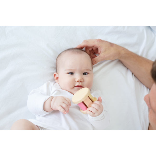 Roller pastello Plan Toys