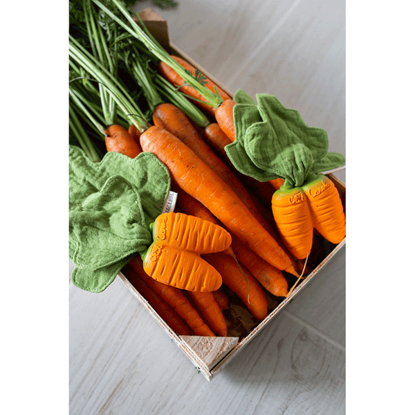 Cathy la Carota Mini Doudou-Teether Oli&Carol  