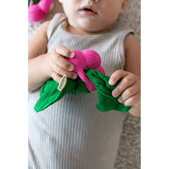 Ramona the Radish Mini Doudou-Teether Oli&Carol  