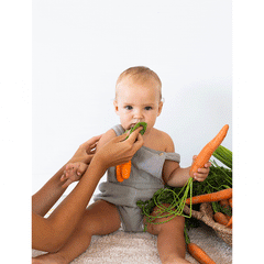Cathy la Carota Mini Doudou-Teether Oli&Carol  