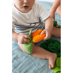 Cathy la Carota Mini Doudou-Teether Oli&Carol  