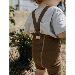 Pantaloncini Corti Silly Silas -Acorn Brown  