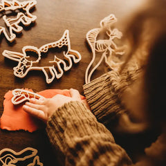 Set 1 formina dino Triceratopo eco cutter Kinfolk & Co  