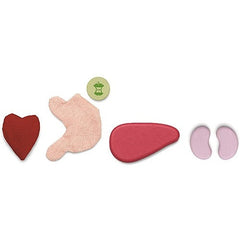 Set Gioco Educativo Chirurgo Plan Toys