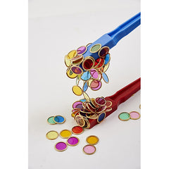 Bacchetta e Gettoni - Multicolor - Principi del Magnetismo - TickiT  